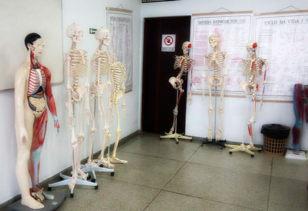 Sala de aula com esqueletos e corpo humano de estudo